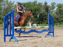 dsc05648_web